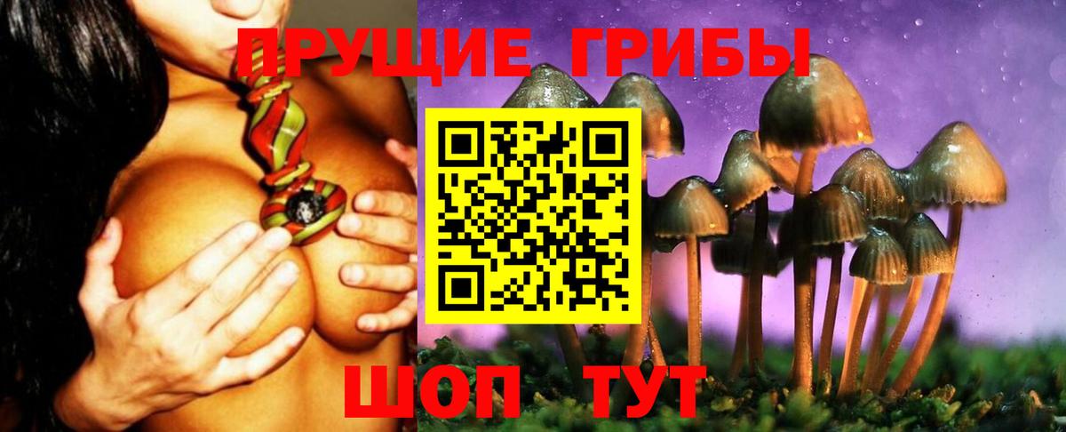 Пенза  наркошоп  Вход с VPN  Псилоцибиновые грибы мицелий 